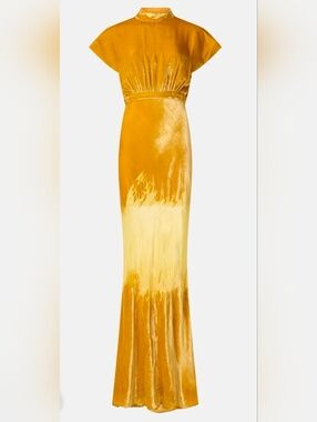 ✨️ SALONI Fabienne Gold Ombre Velvet Gown Dress Size 8
